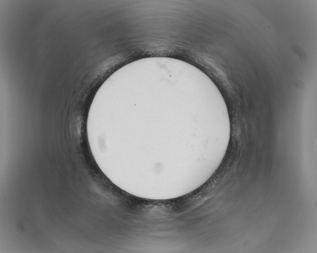 X0000111210115200907291259