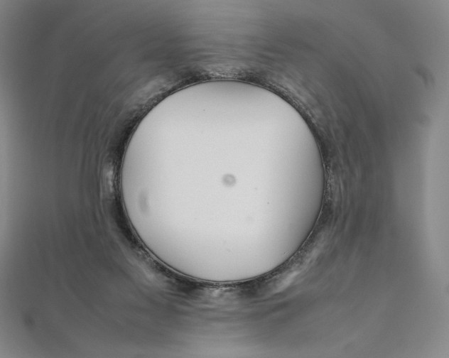 X0000111210117200907291259