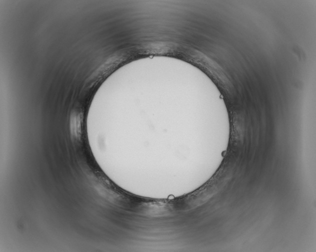 X0000111210118200907291259