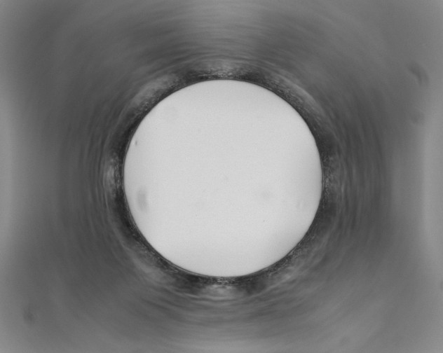 X0000111210119200907291259