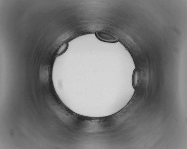 X0000111210120200907291259