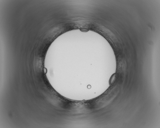 X0000111210121200907291259