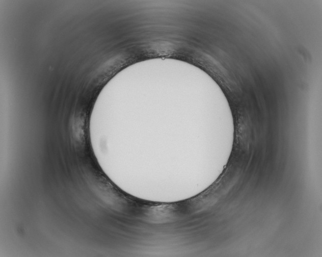 X0000111210122200907291259