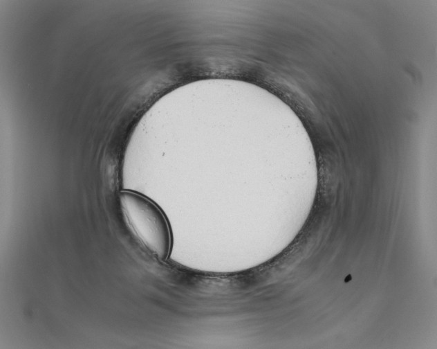 X0000111210123200907291259