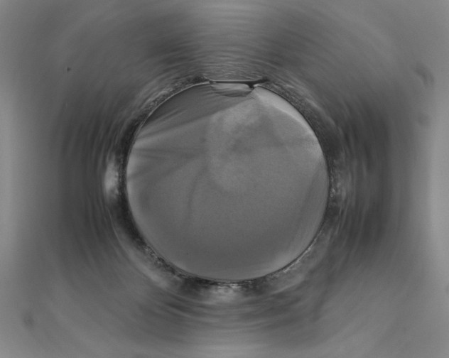 X0000111210124200907291259