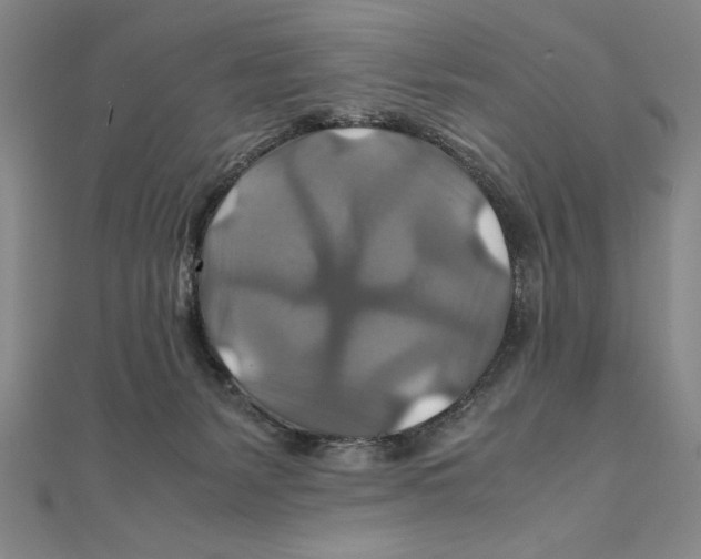 X0000111210127200907291259