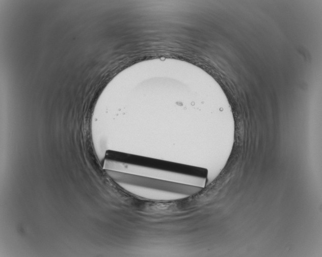 X0000111210129200907291259