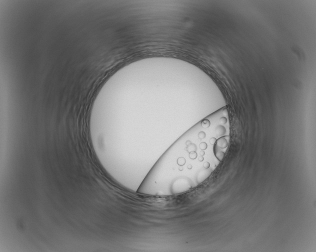 X0000111210131200907291259