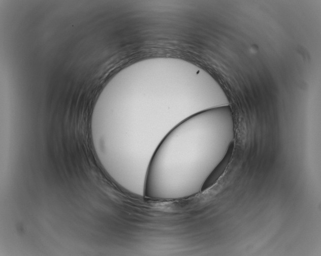 X0000111210132200907291259