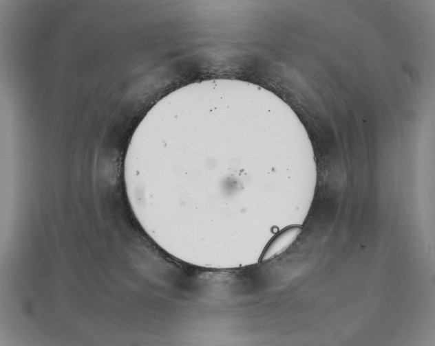 X0000111210133200907291259