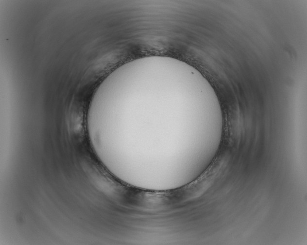 X0000111210134200907291259