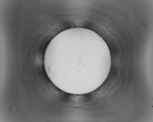 X0000111210135200907291259