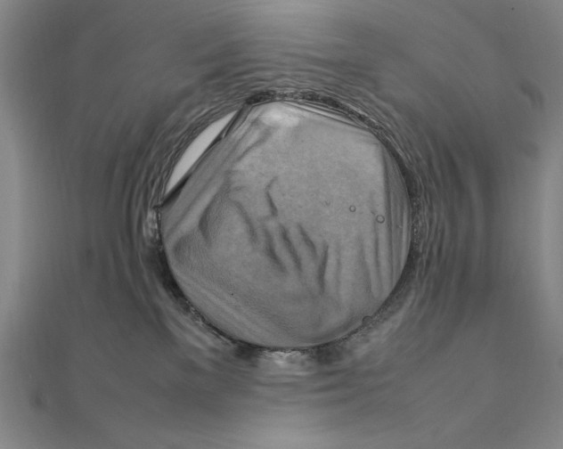 X0000111210137200907291259