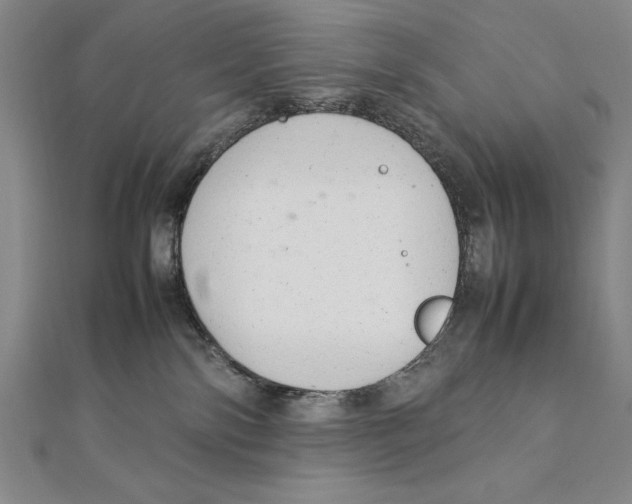 X0000111210138200907291259