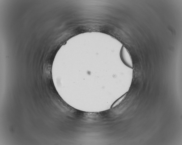 X0000111210141200907291259