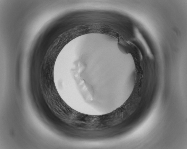 X0000111210143200907291259