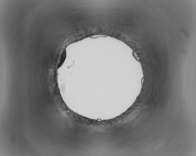 X0000111210144200907291259