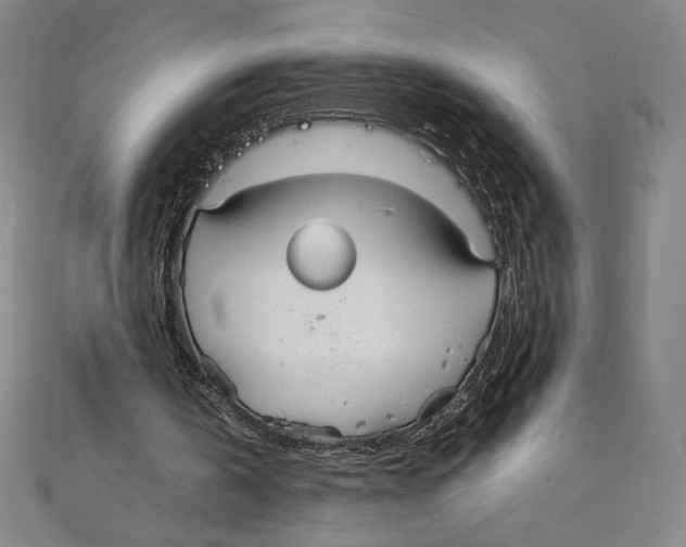 X0000111210146200907291258