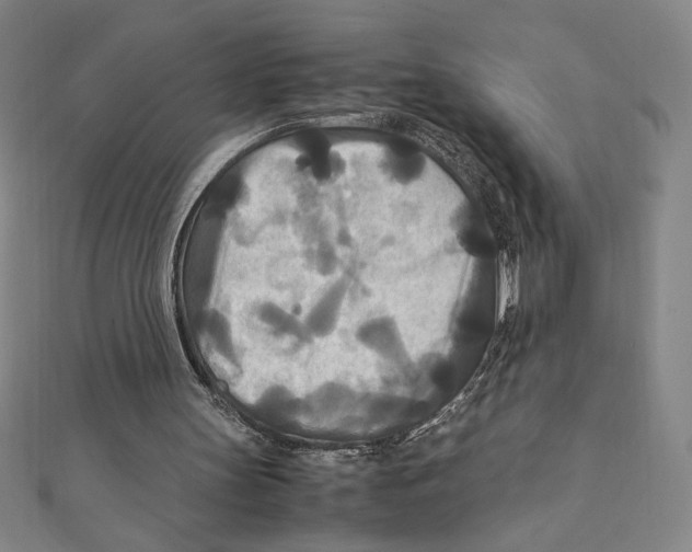 X0000111210147200907291258