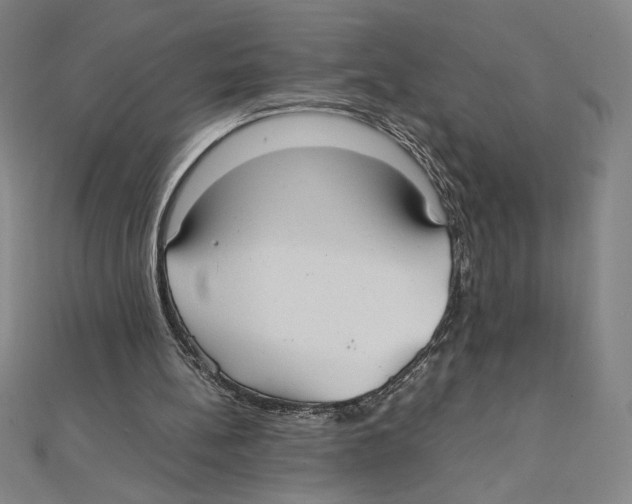 X0000111210148200907291258