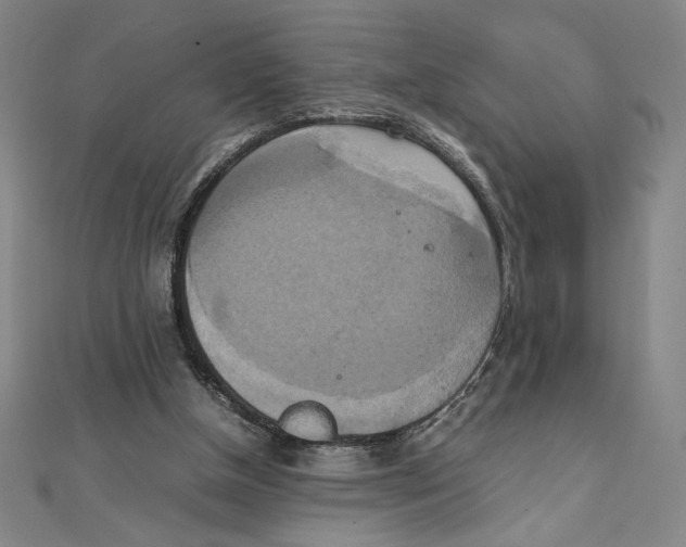 X0000111210154200907291259