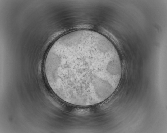 X0000111210155200907291259