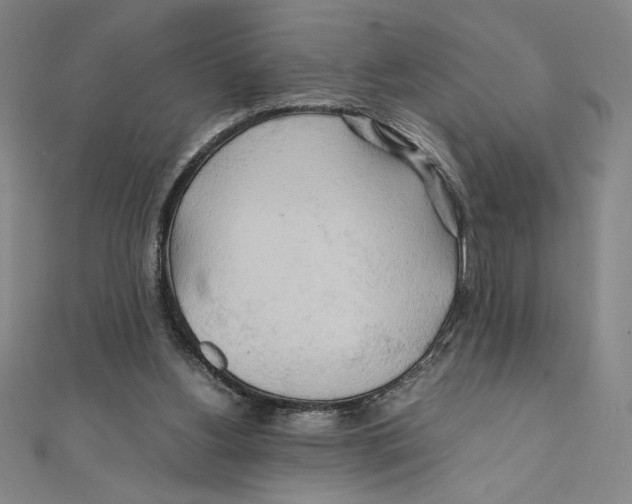 X0000111210156200907291259