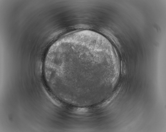 X0000111210157200907291259