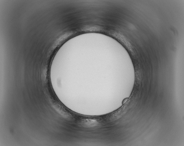 X0000111210159200907291259