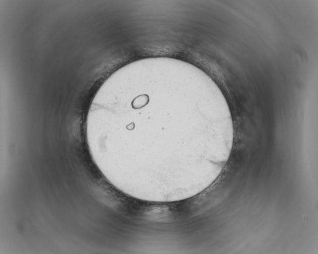 X0000111210162200907291259