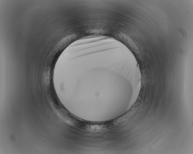 X0000111210163200907291259