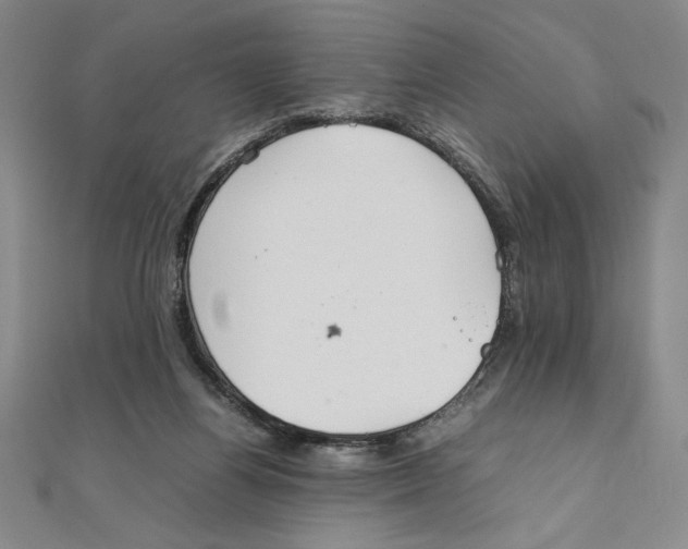 X0000111210164200907291259