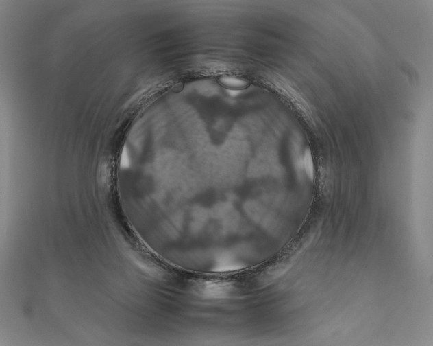 X0000111210165200907291259