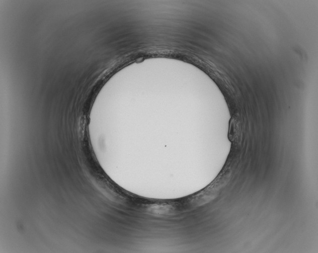 X0000111210168200907291259