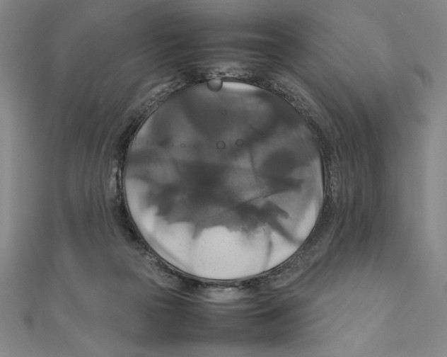 X0000111210169200907291259