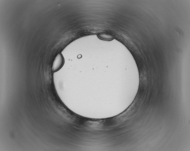 X0000111210170200907291259