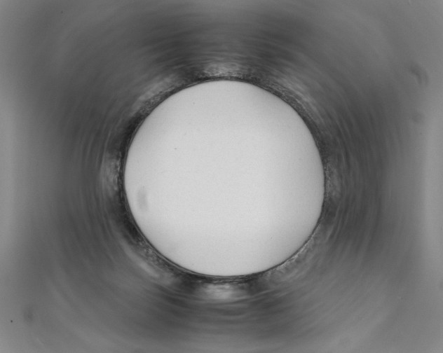 X0000111210171200907291259