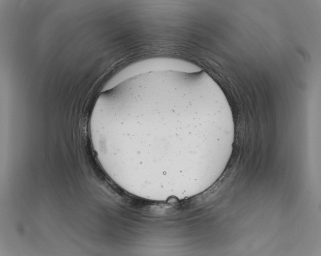 X0000111210172200907291259