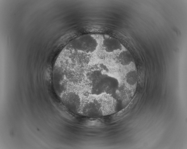 X0000111210175200907291259