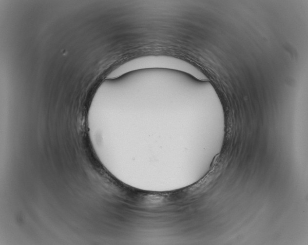 X0000111210176200907291259