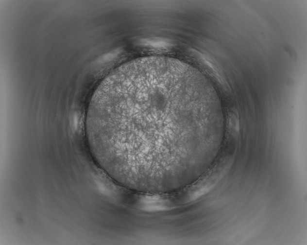 X0000111210177200907291259