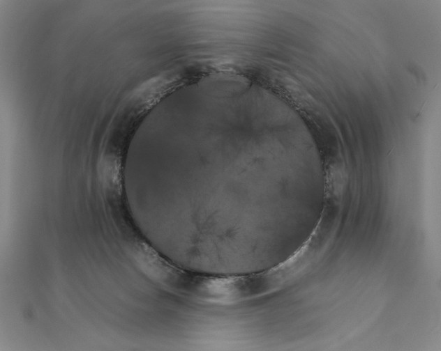 X0000111210178200907291259