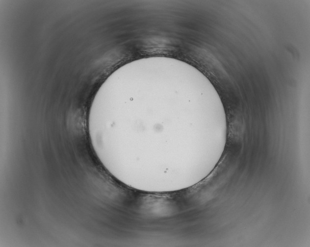 X0000111210179200907291259