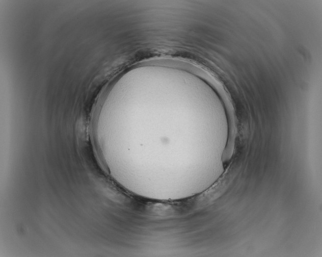 X0000111210180200907291259