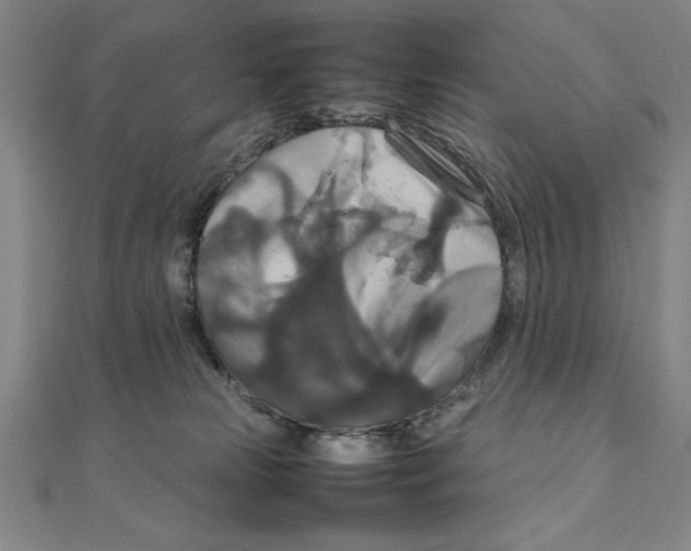 X0000111210181200907291259