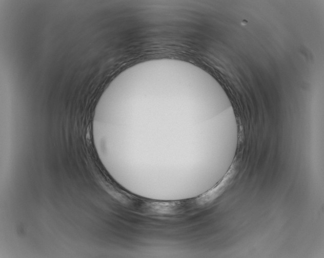 X0000111210182200907291259