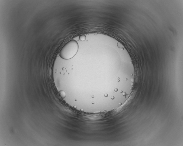 X0000111210183200907291259