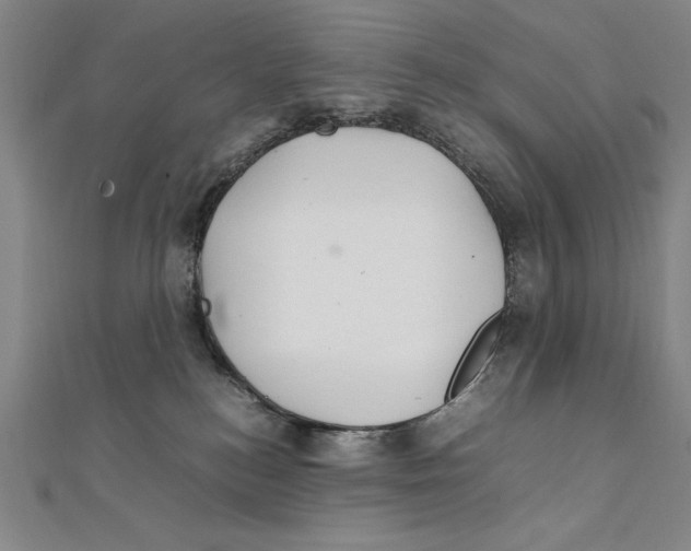 X0000111210184200907291259