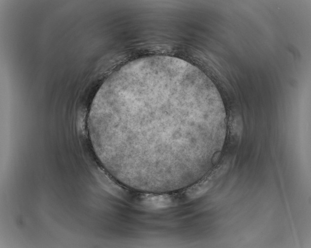 X0000111210185200907291259