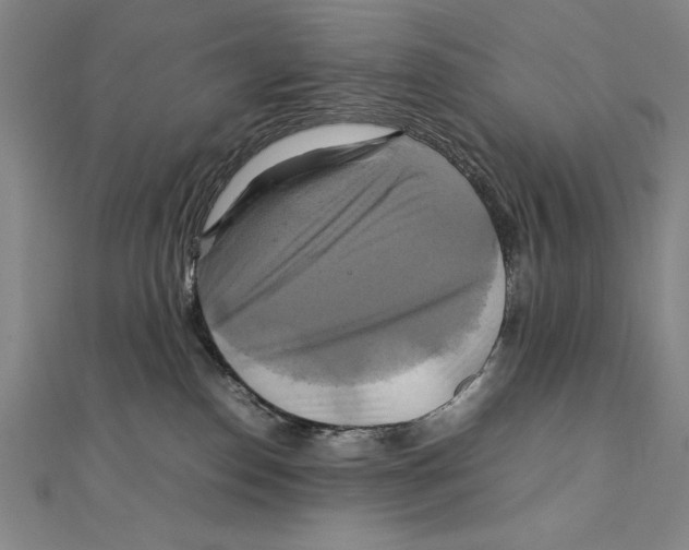 X0000111210186200907291259